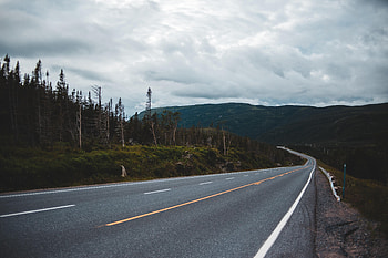 Nature, Trees, Road, Markup, Hills, Dahl, Distance HD wallpaper