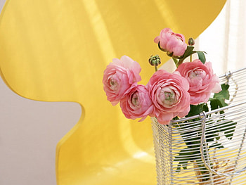 Touch of floral, pink, flowers, blooms, yellow design HD wallpaper