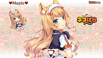 Nekopara s HD wallpaper
