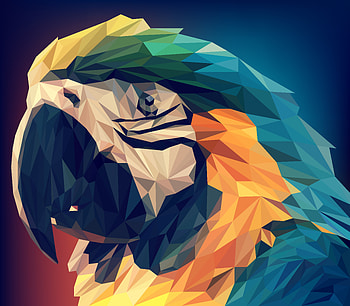 Parrot Low Poly, parrot, low-poly, artist, artwork, digital-art HD wallpaper