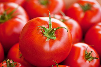 Tomato fruit, Vegetable debate, MyRecipes, Plant classification HD wallpaper