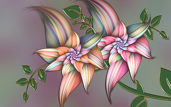 Abstract Flowers, colors, leaves, flowers, spring HD wallpaper