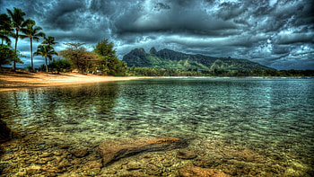 Lovely Beach, clouds, trees, sky, water HD wallpaper