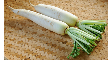 Daikon radish, Fresh vegetable, Crunchy texture, Healthy option HD wallpaper
