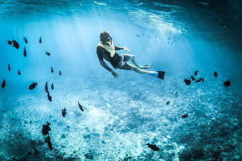 Person snorkeling among vibrant marine life in a tropical, turquoise sea. HD wallpaper