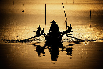 Birds, Rivers, Reflection, Dark, Silhouette, Boat, Oars, Paddles HD wallpaper
