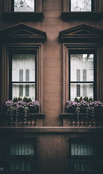 Flowers, Windows, Architecture, Building, Miscellanea, Miscellaneous, Facade HD phone wallpaper