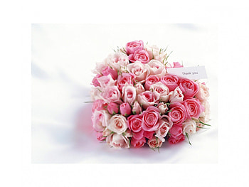 thank you, rose, bouquet, love, flower HD wallpaper
