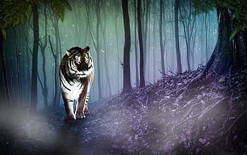 Cgi Tiger, animal, tiger, 3d, cgi, forest HD wallpaper
