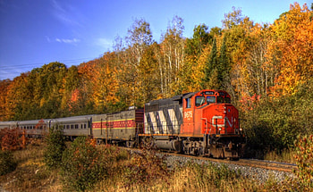 Autumn Train Canada, Canada, Nature, Forests, Train, Autumn HD wallpaper