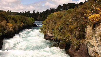 river, cool, nature, tree HD wallpaper