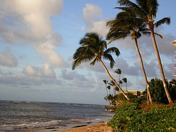 Maui, Havaii, ocean, beaches HD wallpaper