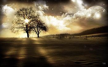 go back to you, sky HD wallpaper