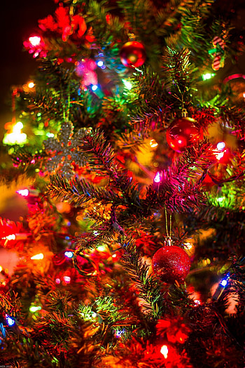Christmas lights, Background scenes, Festive ambiance, Holiday cheer HD phone wallpaper