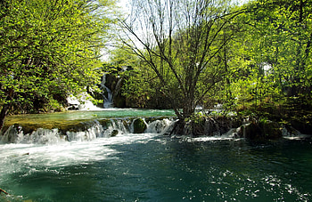 Nature, Rivers, Trees, Summer, Waterfall, Clear, I See, Croatia HD wallpaper
