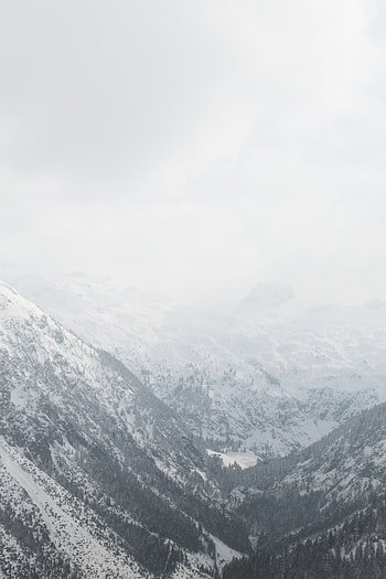 Landscape, Nature, Trees, Mountains, Snow, Valley HD phone wallpaper