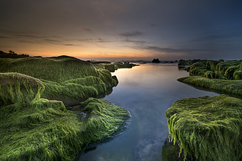 Coast, rocks, moss, nature, sunset HD wallpaper