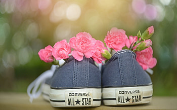 summer, pink, shoes, grey, flower, sneackers, vara HD wallpaper