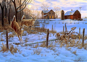 deers...., farms, winter, deers, animals HD wallpaper
