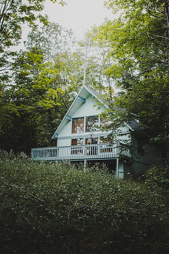 Nature, Trees, Bush, Building, House, Balcony HD phone wallpaper