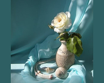 Seafoam, rose, white, drape, ocean color, vase, aqua HD wallpaper