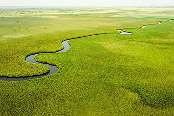 Okavango Delta, Travels, Botswana, Wildlife sanctuary HD wallpaper