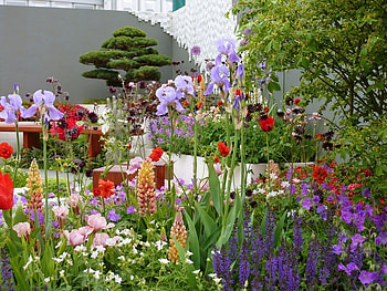 An exhibit at Chelsea Flower Show, Flowers, Blooms, Blossoms, Chelsea Flower Show HD wallpaper
