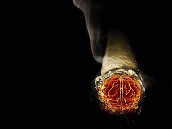 Flower Smoke, manipulation, interesting, flower, smoke HD wallpaper