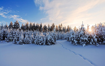 Landscape, Winter, Snow HD wallpaper