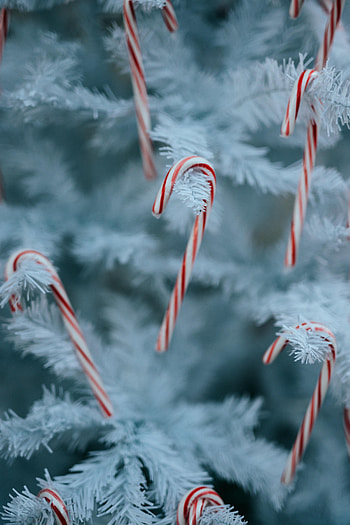 Holidays, New Year, Candies, Christmas, Christmas Tree, Decoration, Candy Sticks, Caramel Sticks HD phone wallpaper