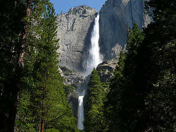 Landscape, Trees, Waterfalls HD wallpaper