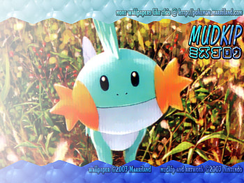 Mudkip , anime, mudkip, pokemon HD wallpaper