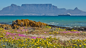 Table Mountain, Spring in Cape Town, Captivating , South Africa beauty HD wallpaper