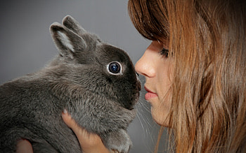 Kiss, bunny, model, cute, girl, woman, rabbit HD wallpaper