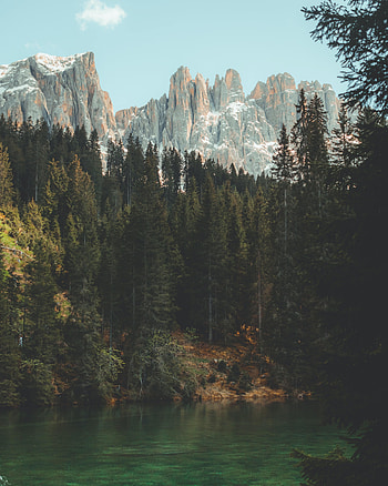 Nature, Trees, Sky, Mountains, Lake, Branches HD phone wallpaper