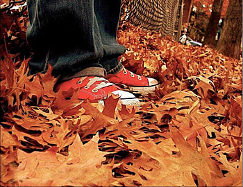 red snickers, leaves, foot, yellow, red, feet, autumn, snickers HD wallpaper