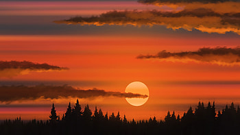 Trees, Sunset, Art, Sun, Clouds HD wallpaper