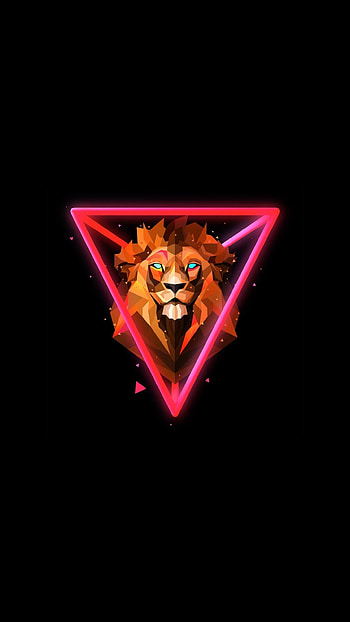 Lion, Justin Maller HD phone wallpaper