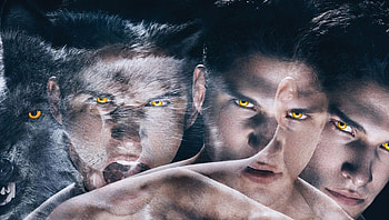 Teen Wolf (2022) movie HD wallpaper