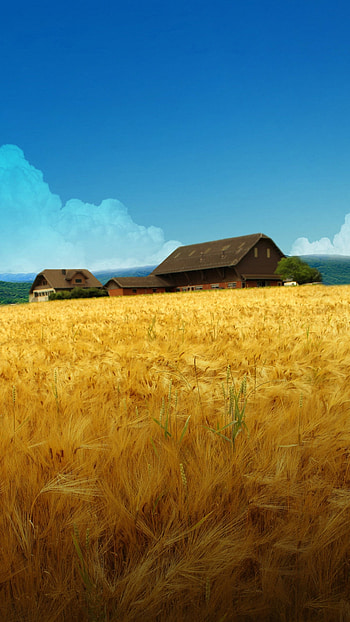 Farm , Mobile-friendly, Farm life visuals, Backgrounds HD phone wallpaper