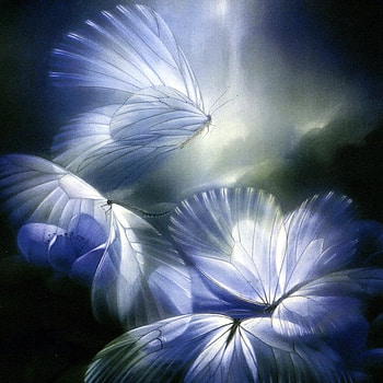 Bluelight butterflies, blue, colorful, magic, color, art, beautiful, bluelight, butterfly, animals HD wallpaper