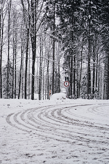 Winter, Nature, Trees, Snow, Road, Turn HD phone wallpaper