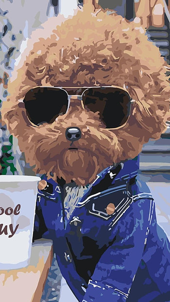 Funny, Funny Dog HD phone wallpaper