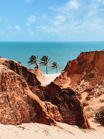 Landscape, Nature, Sea, Palms, Summer, Rocks, Shore, Bank HD phone wallpaper