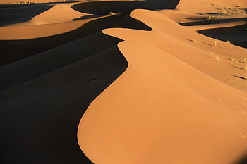 Nature, Sand, Desert, Relief, Barkhan, Sand Dune HD wallpaper