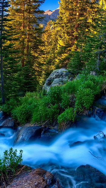 Realme, Beautiful, Nature, background HD phone wallpaper