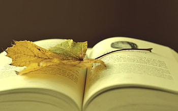 Autumn story, story, read, book, autumn, leaf, lovely HD wallpaper