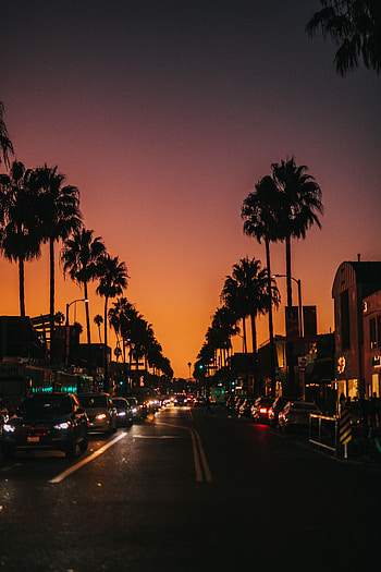 Auto, Dark, Road, Night City, Street HD phone wallpaper