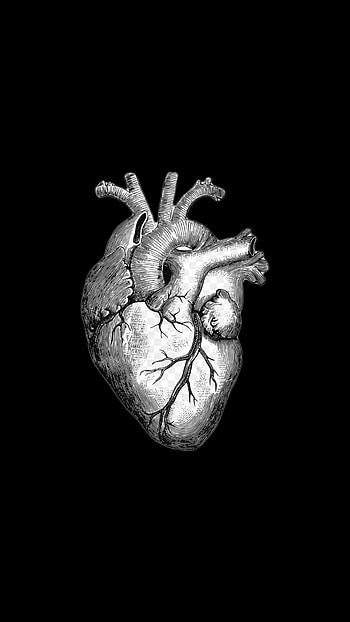Corazón, eye, head HD phone wallpaper