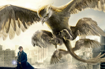 Thunderbird Fantastic Beasts And Where To Find Them, fantastic-beasts-and-where-to-find-them, 2016-movies, movies HD wallpaper